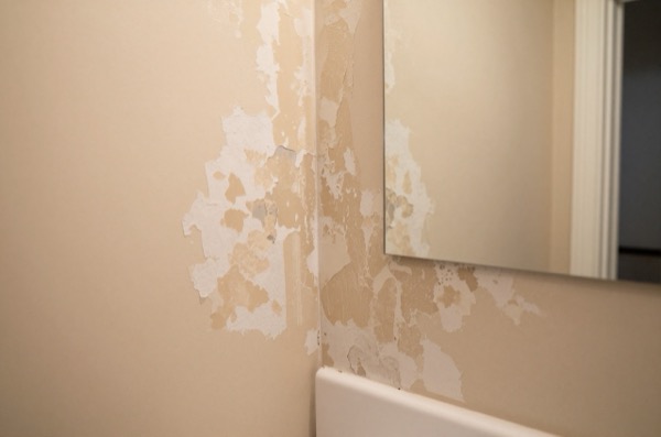 Peeling paint and blistered plaster on a bathroom wall.
