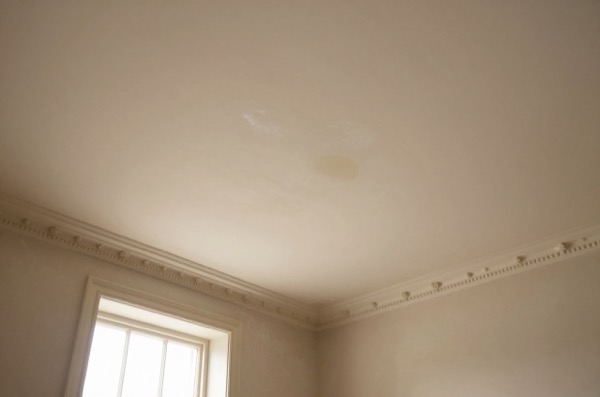 Water-damaged Victorian ceiling with peeling plaster and daylight.