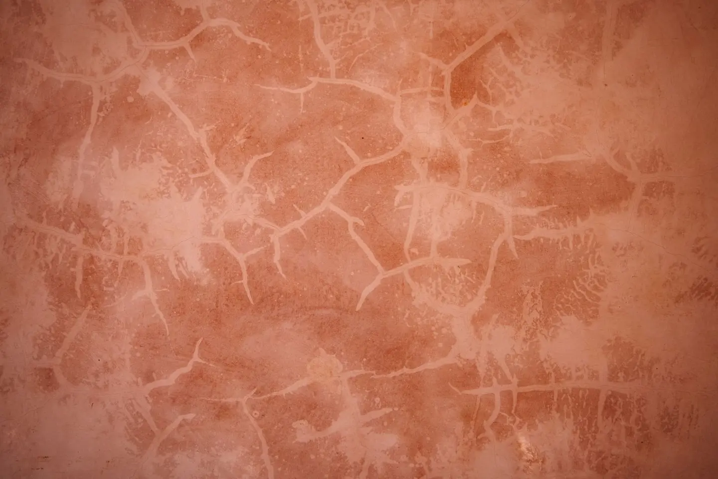 Close-up of a textured brown wall with intricate patterns and cracks.