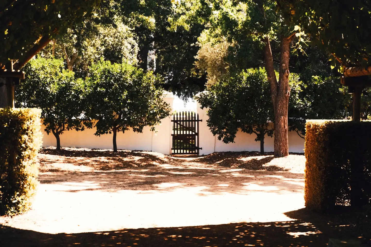 A sunlit garden pathway leading to a rustic wooden gate, framed by lush greenery and trees.