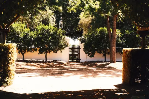 A sunlit garden pathway leading to a rustic wooden gate, framed by lush greenery and trees.