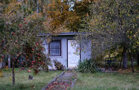 A quaint garden shed amidst colourful autumn foliage with apple trees and fallen leaves.