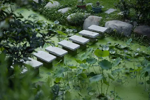 Tranquil garden scene with stone steps over a pond in Hsinchu City, Taiwan, surrounded by lush greenery.