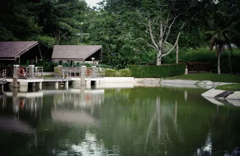 Peaceful garden pond surrounded by lush trees and wooden pavilions, reflecting on the water.