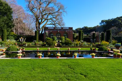 A tranquil botanical garden with a reflecting pond and manicured landscaping.