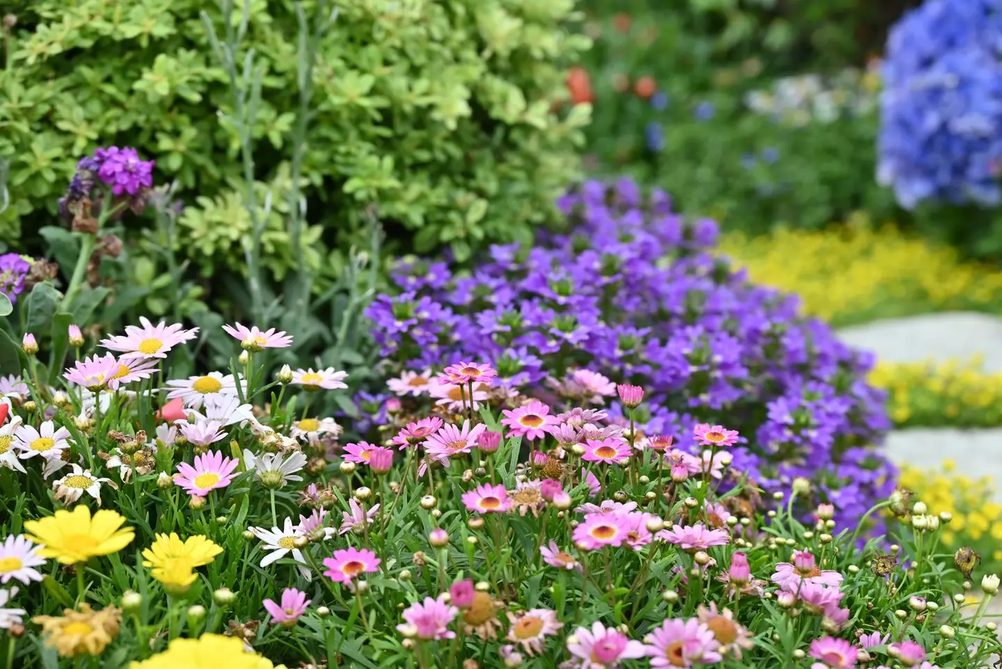 A colourful arrangement of spring flowers showcasing vibrant hues in a lush garden.