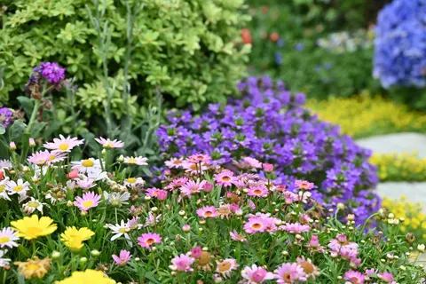A colourful arrangement of spring flowers showcasing vibrant hues in a lush garden.