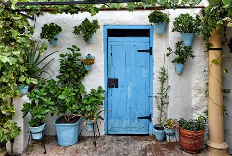 Rustic blue door surrounded by vibrant potted and hanging plants in a sunny patio.