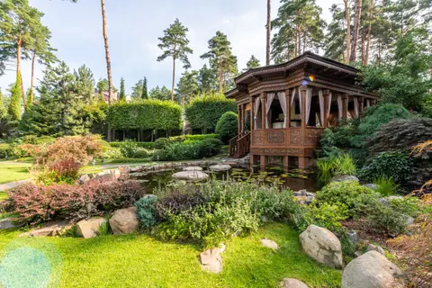 Wooden old summer house facade near pond with boulders near green plants with grass and flowers near trees in garden in sunny day