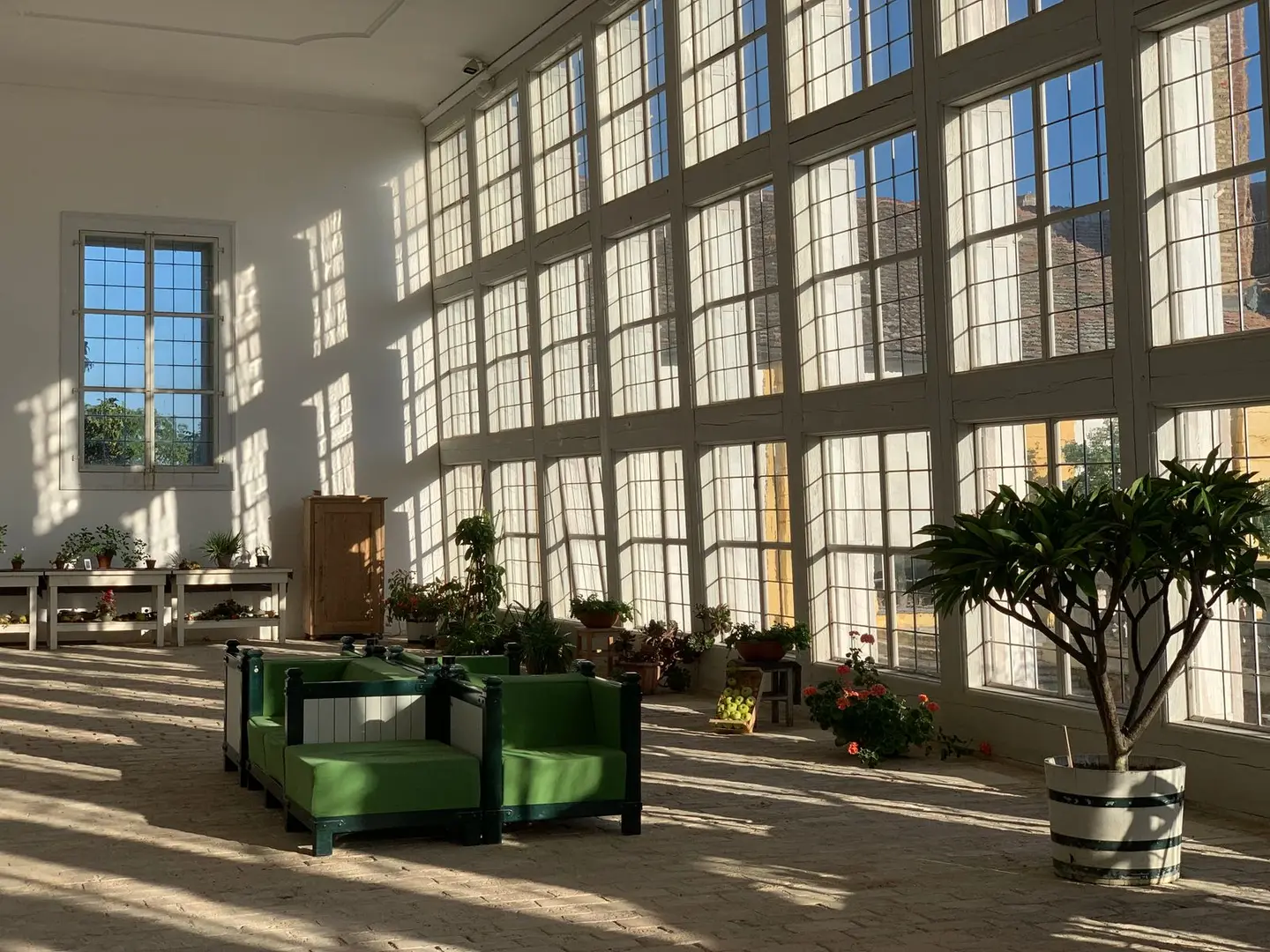 Bright conservatory interior with abundant windows, indoor plants, and green furniture under sunlit shadows.