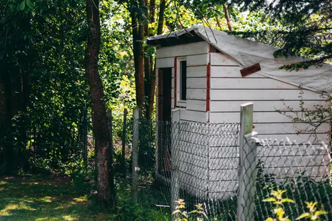 A rustic wooden shed in a lush garden setting, ideal for cozy back garden themes.
