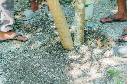 Workers installing a wooden fence post in a sunny outdoor area.