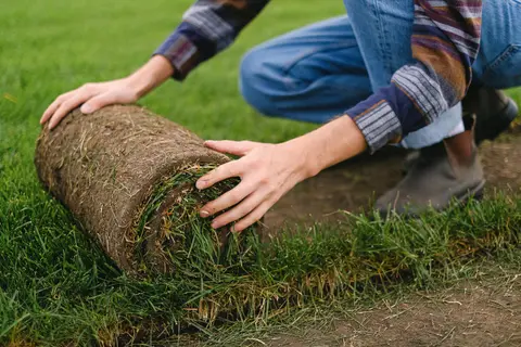 Side view of unrecognizable male farmer laying grass turf roll on ground while working on agricultural plantation on blu