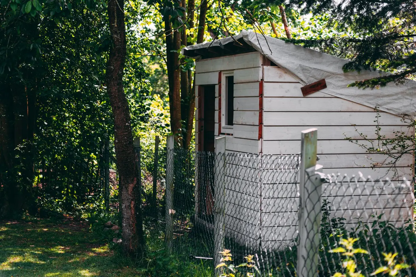 A rustic wooden shed in a lush garden setting, ideal for cozy back garden themes.