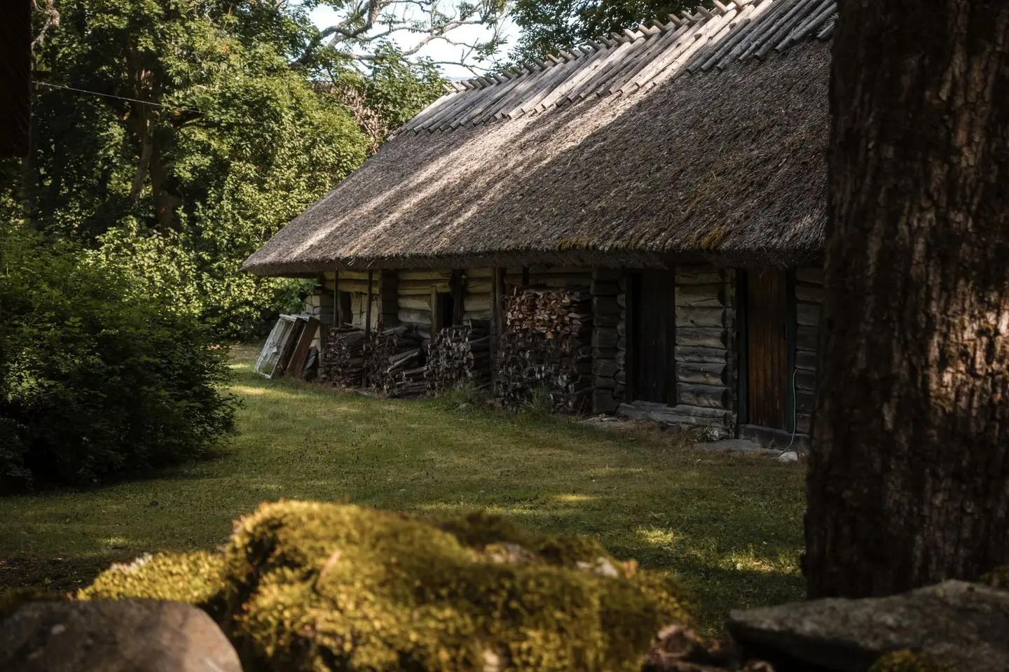 A rustic wooden cabin with a thatched roof surrounded by lush greenery in a serene forest setting.