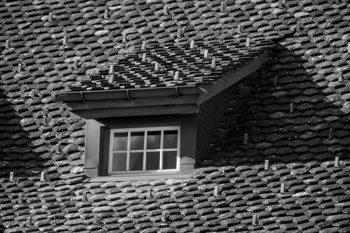 Black and white photo of a tiled roof featuring a dormer window, showcasing architectural details.